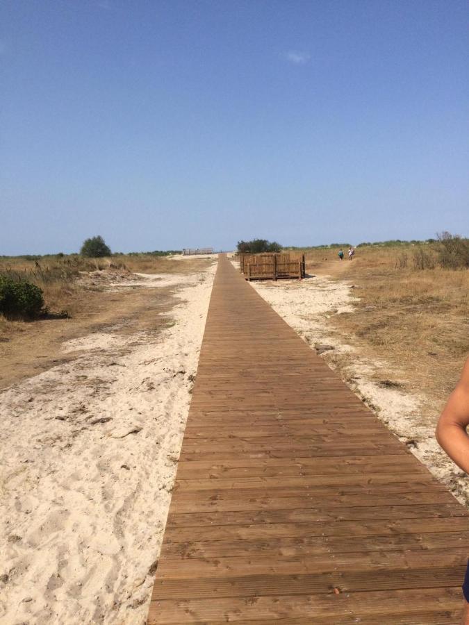 דירות הורומרזיל Friesenmoewe מראה חיצוני תמונה